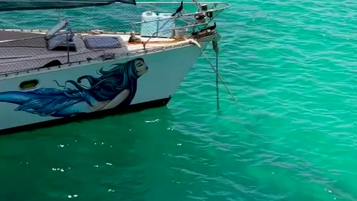 Side and overhead crop of mermaid hull graphic