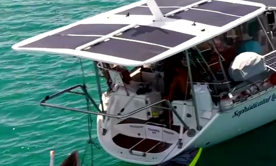 Stern hardtop solar array dominating the frame
